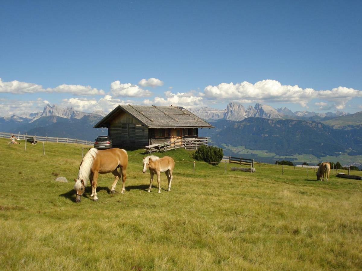 Tschoerlerhof Daire Barbiano  Dış mekan fotoğraf